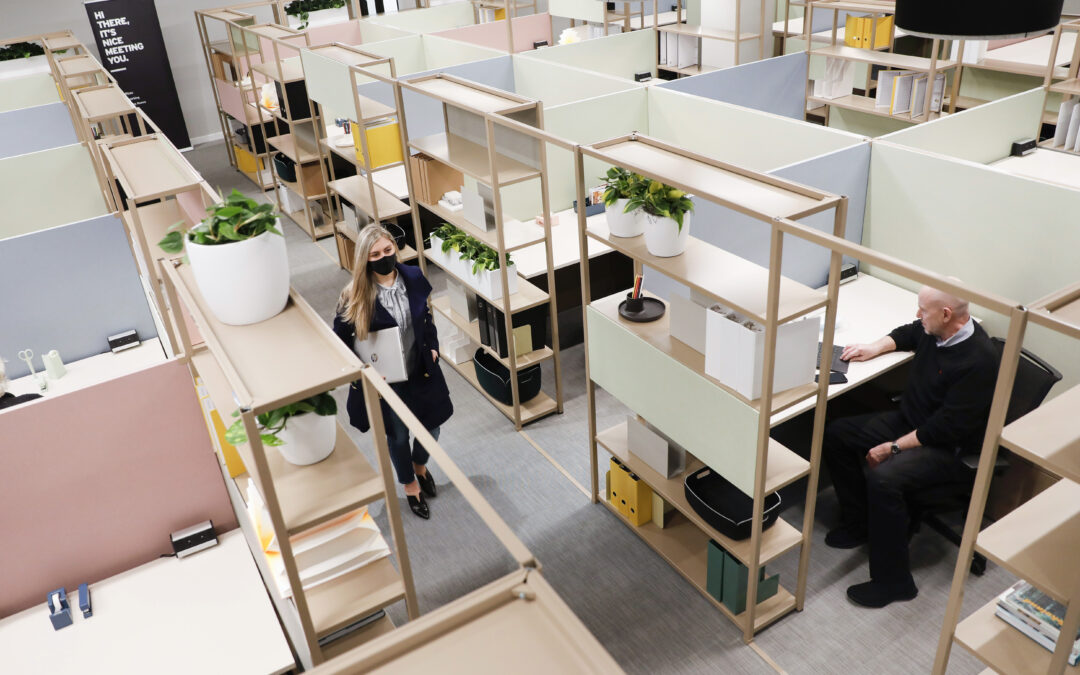 The Future of Work, today